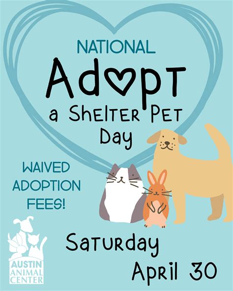 Adopt a Shelter Pet Day: How you can help